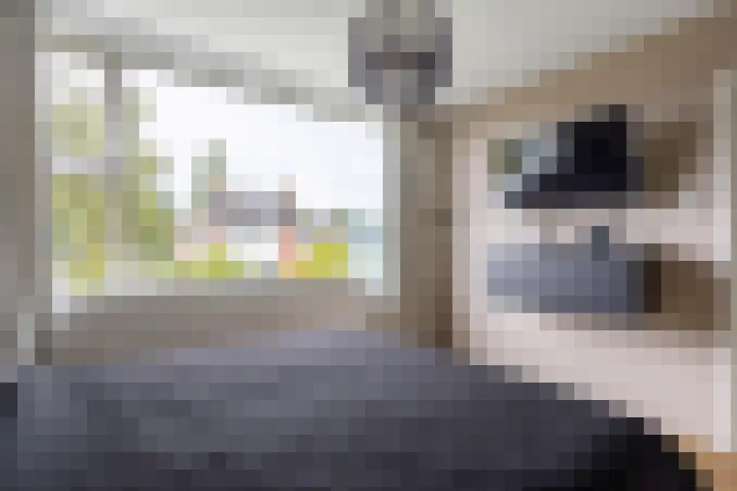Christinastraat 22 Groningen thumbnail 27