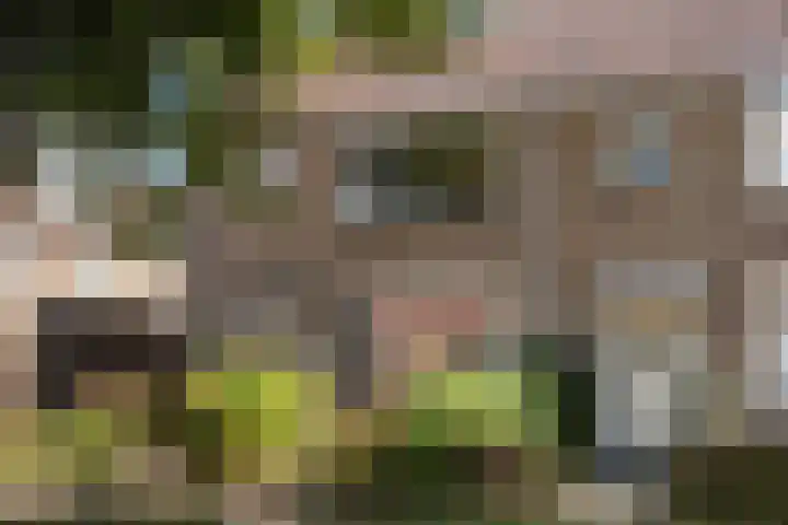 Christinastraat 23 in Beuningen Gld