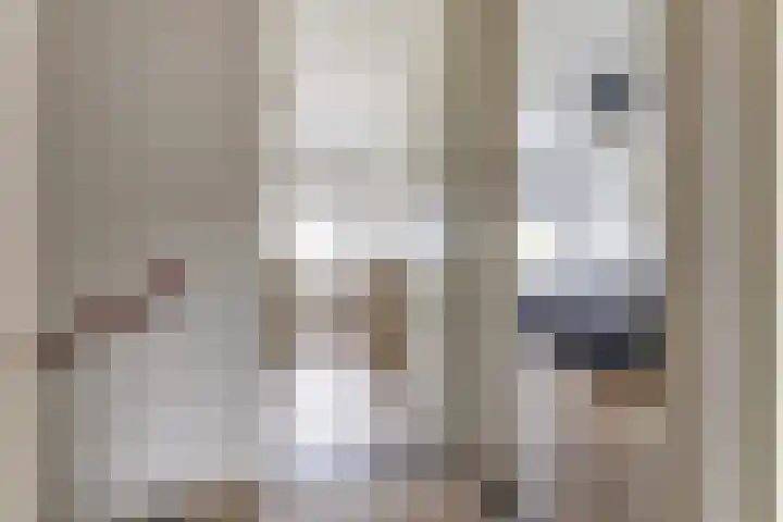 Christinastraat 26 Kats thumbnail 17