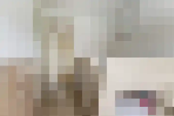 Christinastraat 26 Kats thumbnail 22