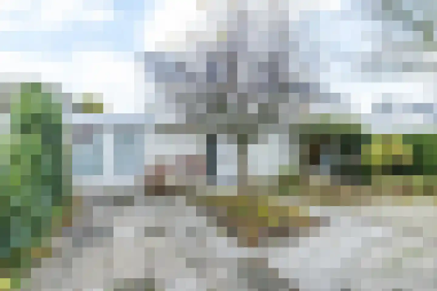 Christinastraat 3 Cadier en Keer thumbnail 39