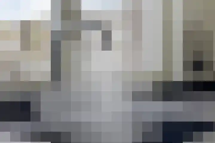 Christinastraat 32 Kats thumbnail 10