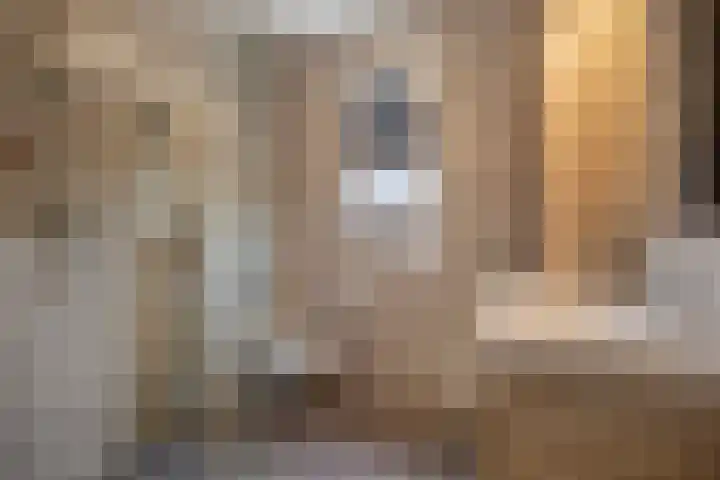 Christinastraat 32 Kats thumbnail 14