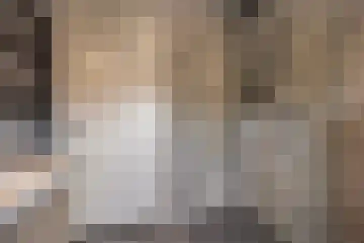 Christinastraat 32 Kats thumbnail 15