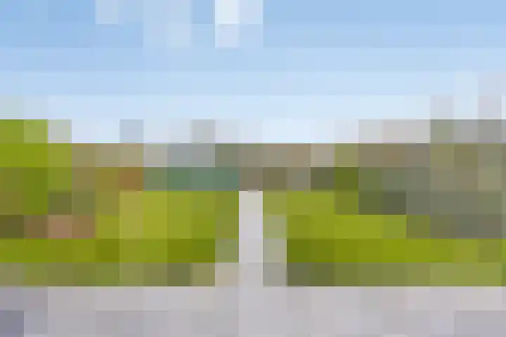 Christinastraat 32 Kats thumbnail 22