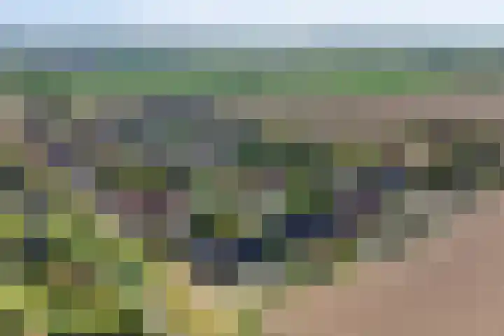 Christinastraat 32 Kats thumbnail 32