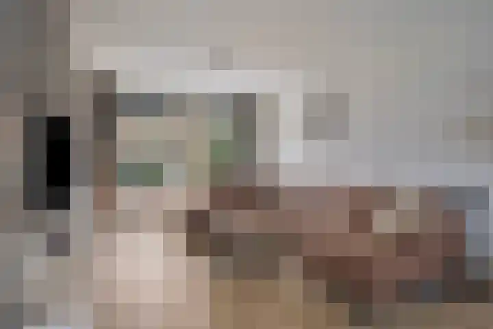 Christinastraat 32 Kats thumbnail 5