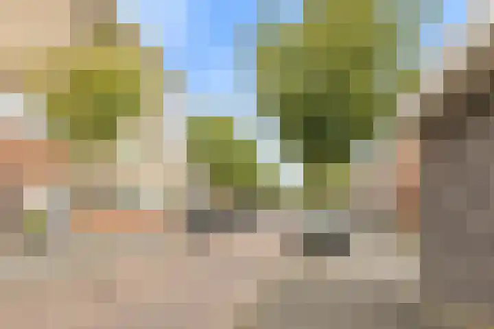 Christinastraat 4 Lisse thumbnail 35