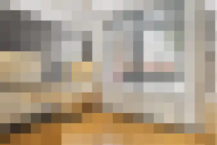 Christinastraat 4 Lisse thumbnail 7
