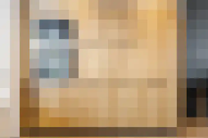 Christinastraat 4 Lisse thumbnail 9