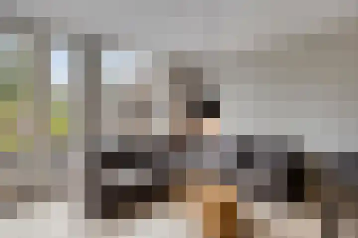 Christinastraat 44 Benthuizen thumbnail 10