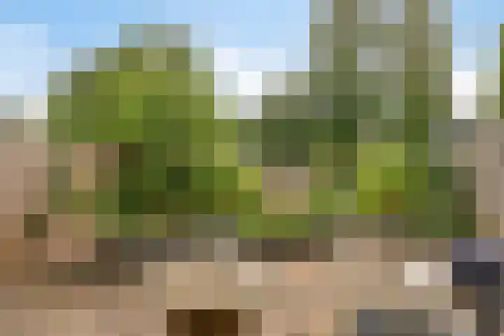Christinastraat 44 Benthuizen thumbnail 33