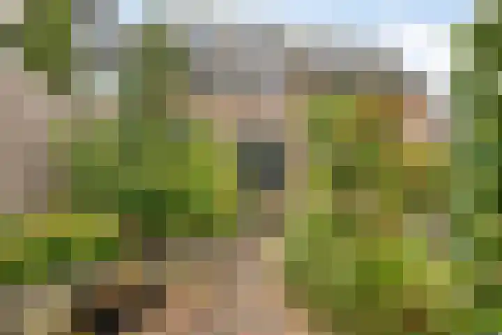 Christinastraat 44 Benthuizen thumbnail 4