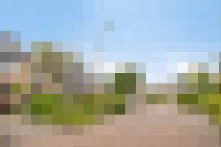 Christinastraat 44 Benthuizen thumbnail 43