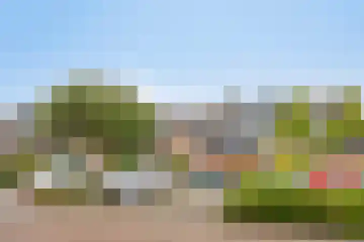 Christinastraat 44 Benthuizen thumbnail 44