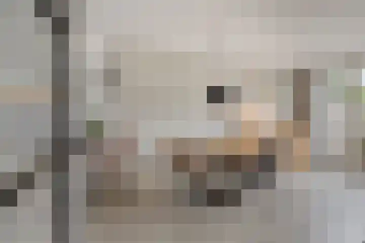 Christinastraat 44 Benthuizen thumbnail 7