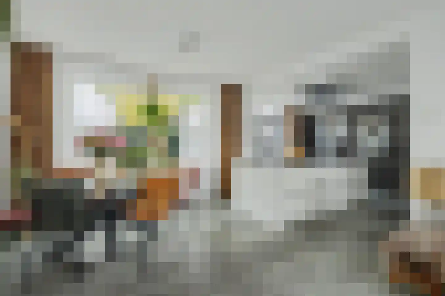 Christinastraat 5 Wilhelminadorp thumbnail 10