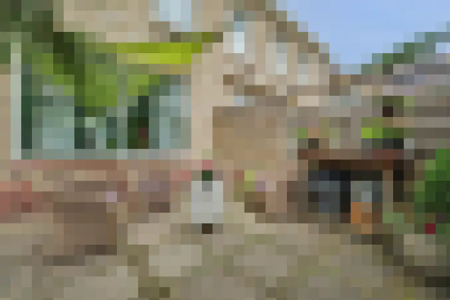 Christinastraat 5 Wilhelminadorp thumbnail 32