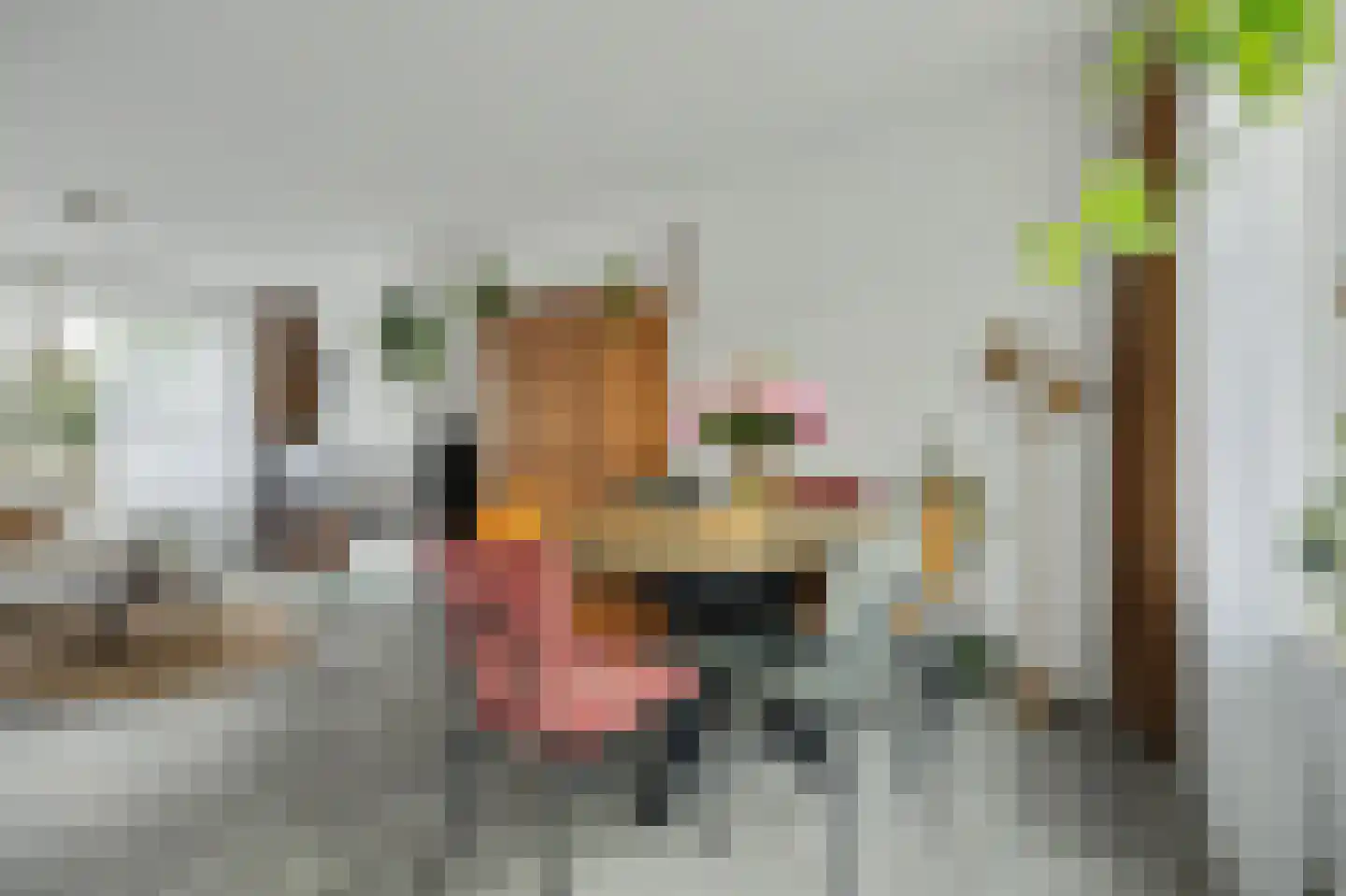 Christinastraat 5 Wilhelminadorp thumbnail 8
