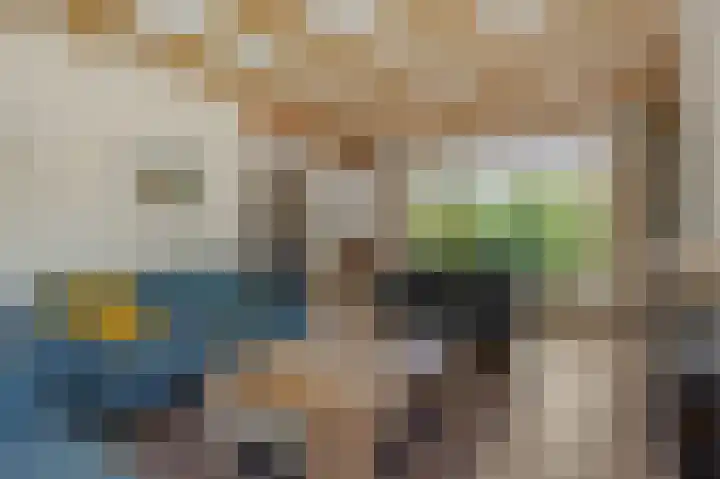 Christinastraat 6 Berlicum thumbnail 18