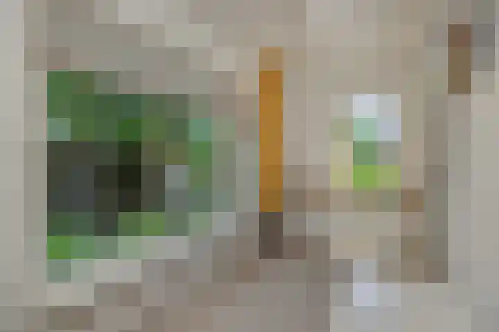 Christinastraat 6 Berlicum thumbnail 24