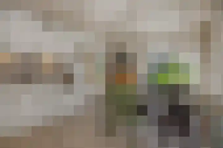 Christinastraat 6 Berlicum thumbnail 27