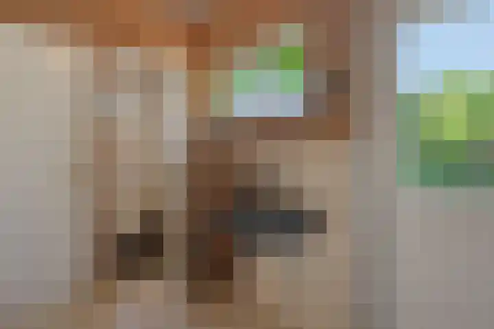 Christinastraat 6 Berlicum thumbnail 30