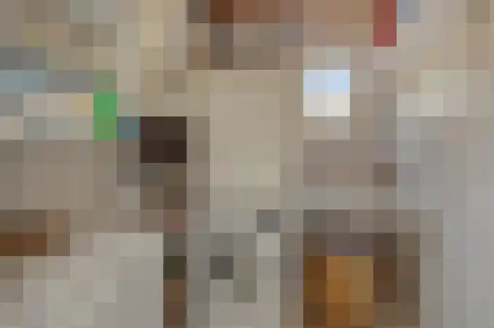 Christinastraat 6 Berlicum thumbnail 31