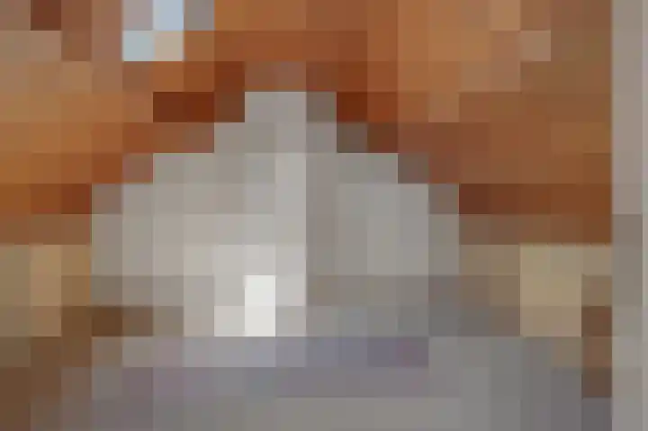 Christinastraat 6 Berlicum thumbnail 32
