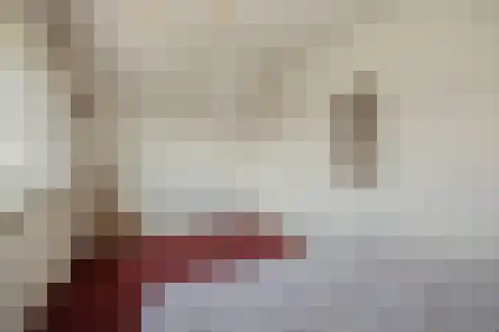 Christinastraat 6 Berlicum thumbnail 42