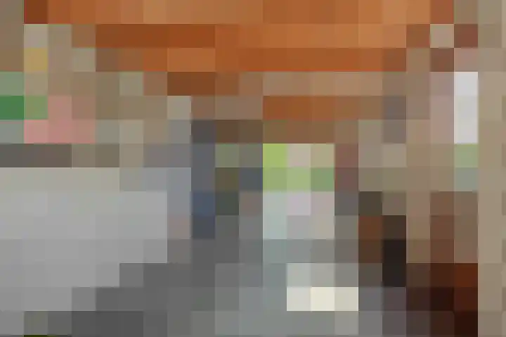 Christinastraat 6 Berlicum thumbnail 43