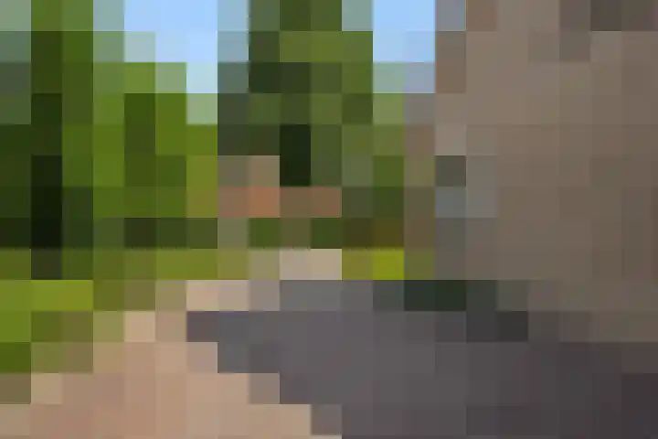 Christinastraat 6 Berlicum thumbnail 45