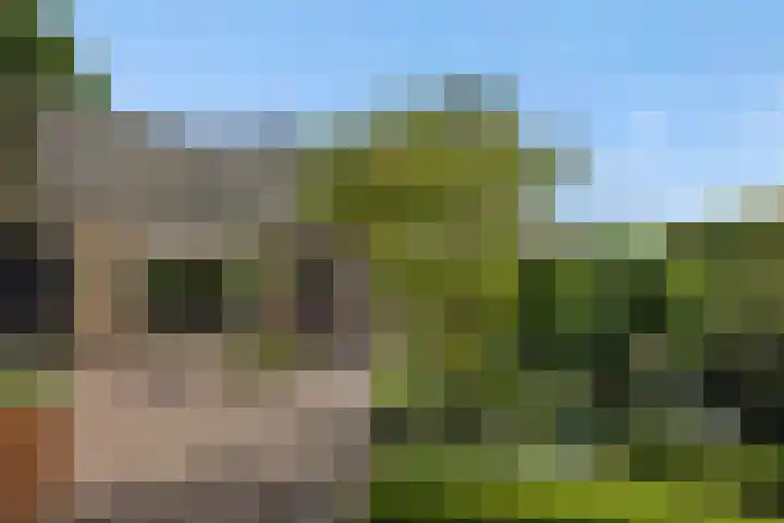 Christinastraat 6 Berlicum thumbnail 50