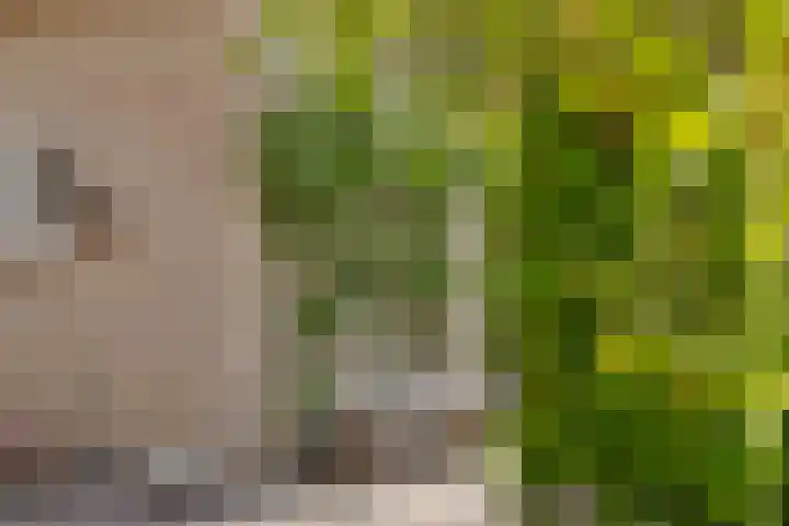 Christinastraat 6 Berlicum thumbnail 52