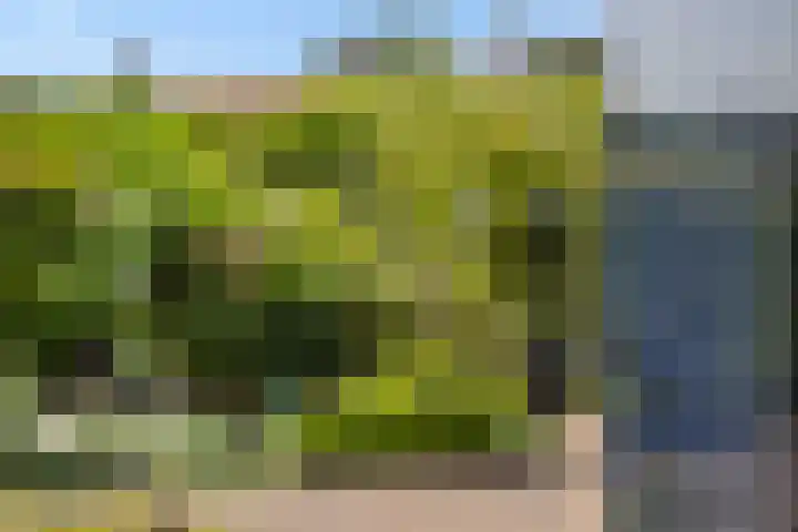 Christinastraat 6 Berlicum thumbnail 53
