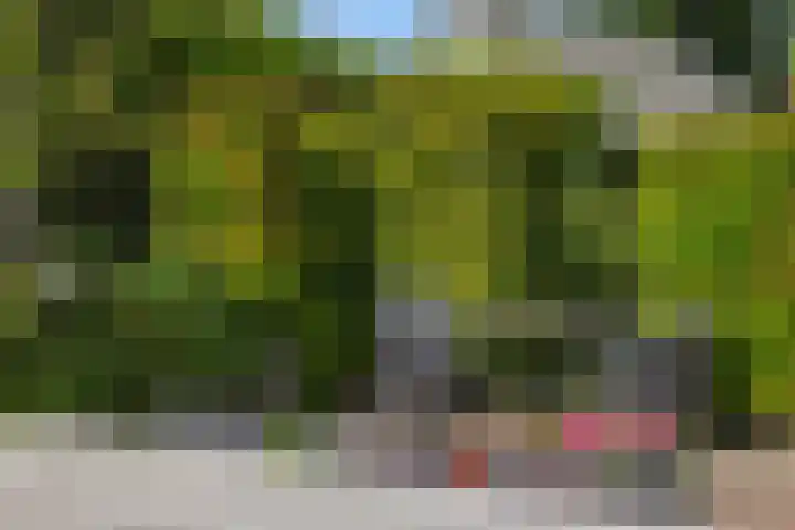 Christinastraat 6 Berlicum thumbnail 54