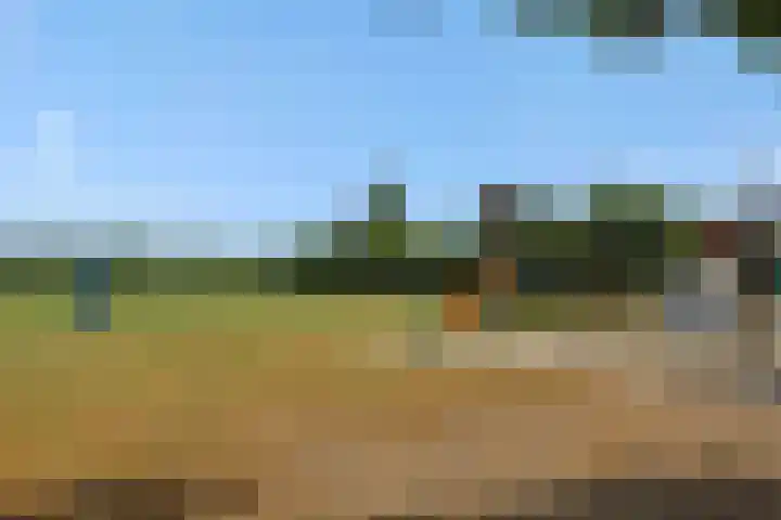 Christinastraat 6 Berlicum thumbnail 57