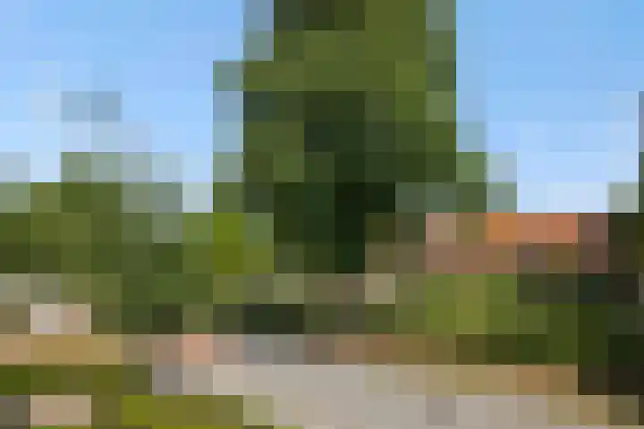 Christinastraat 6 Berlicum thumbnail 9