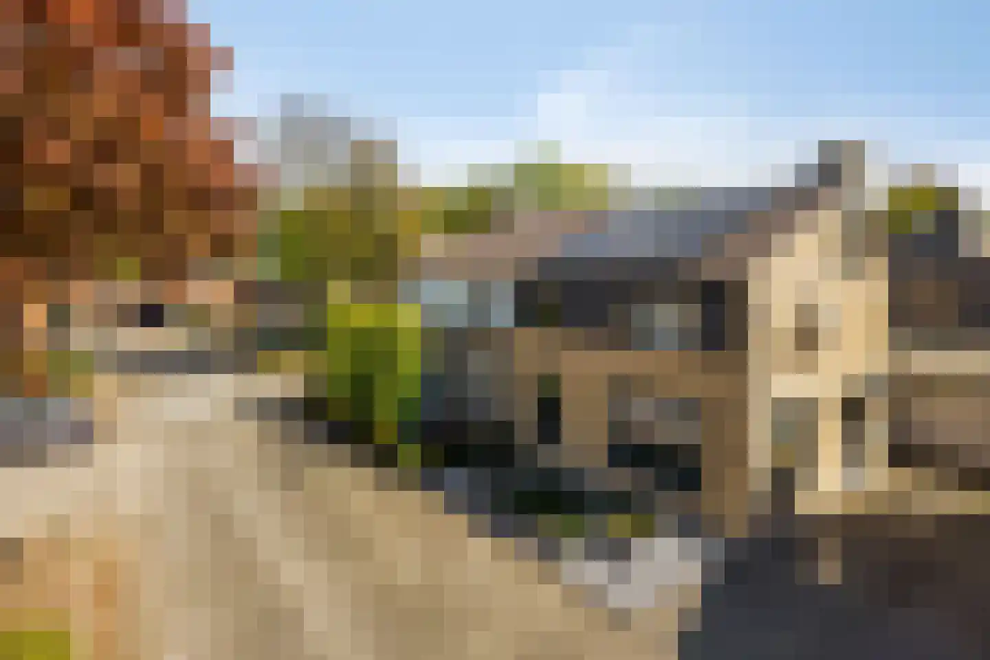Christinastraat 6 Heeswijk-Dinther thumbnail 10