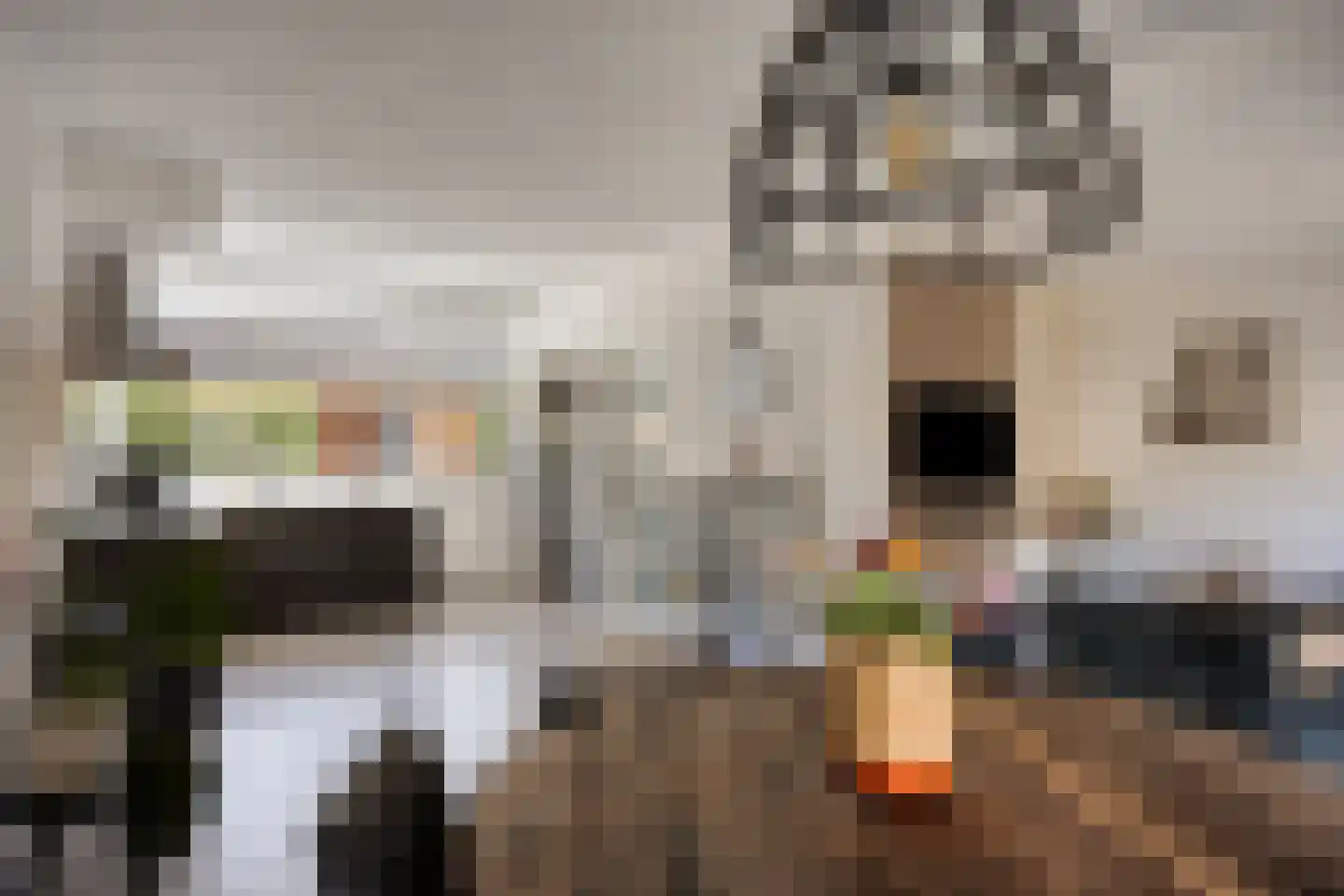 Christinastraat 6 Heeswijk-Dinther thumbnail 18