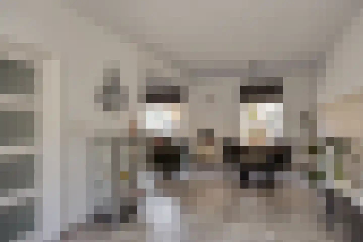 Christinastraat 6 Heeswijk-Dinther thumbnail 19