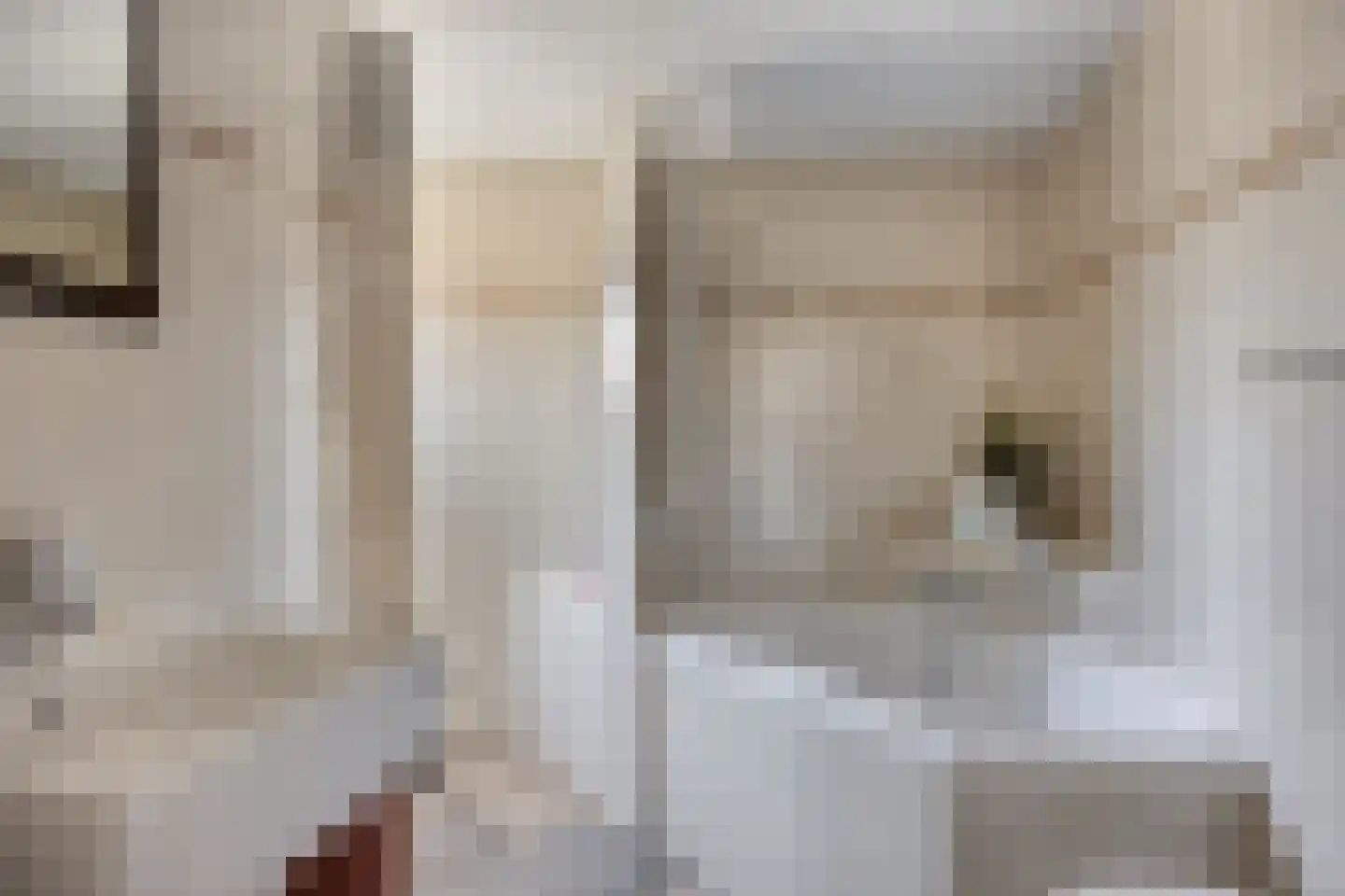 Christinastraat 6 Heeswijk-Dinther thumbnail 25