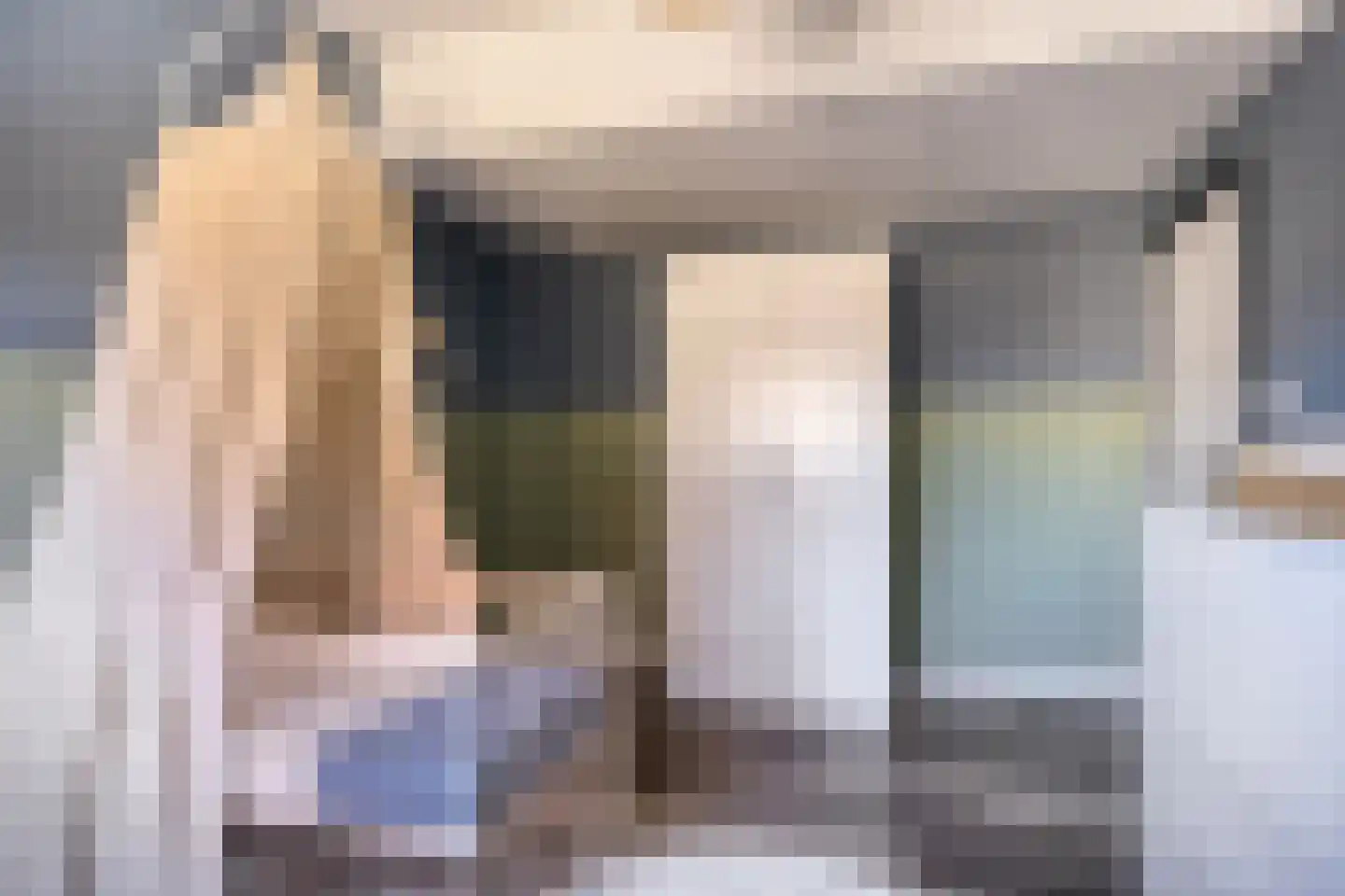 Christinastraat 6 Heeswijk-Dinther thumbnail 30