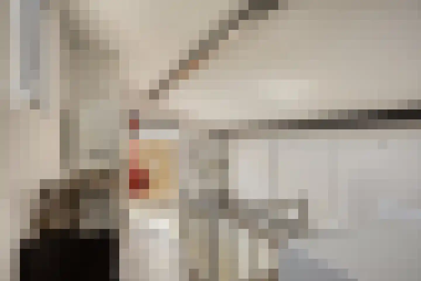 Christinastraat 6 Heeswijk-Dinther thumbnail 31