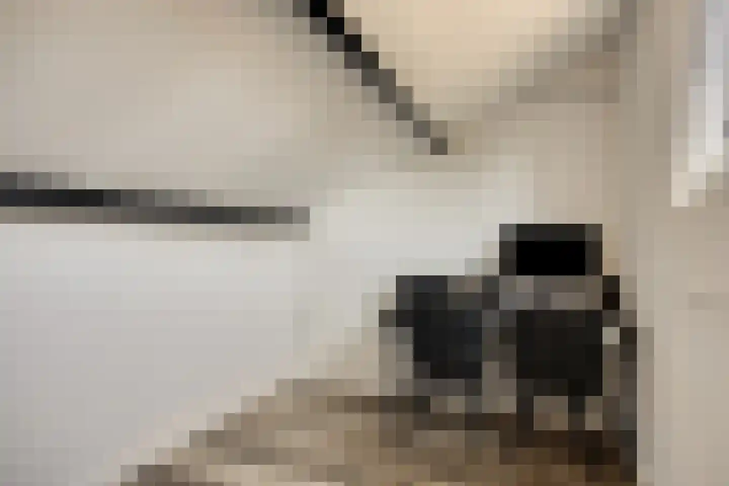 Christinastraat 6 Heeswijk-Dinther thumbnail 32