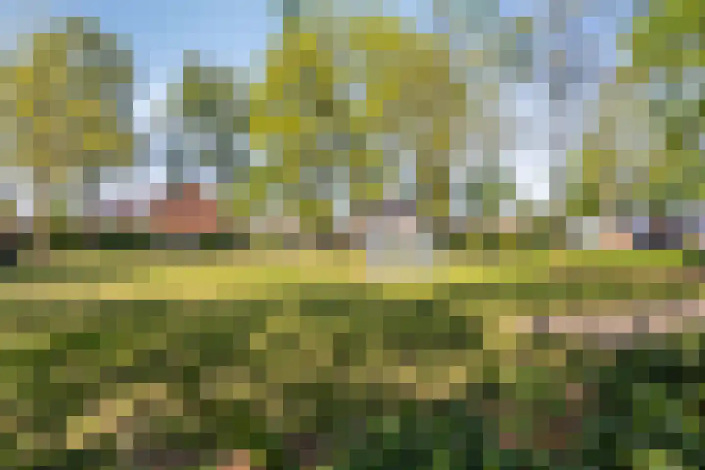 Christinastraat 6 Heeswijk-Dinther thumbnail 38