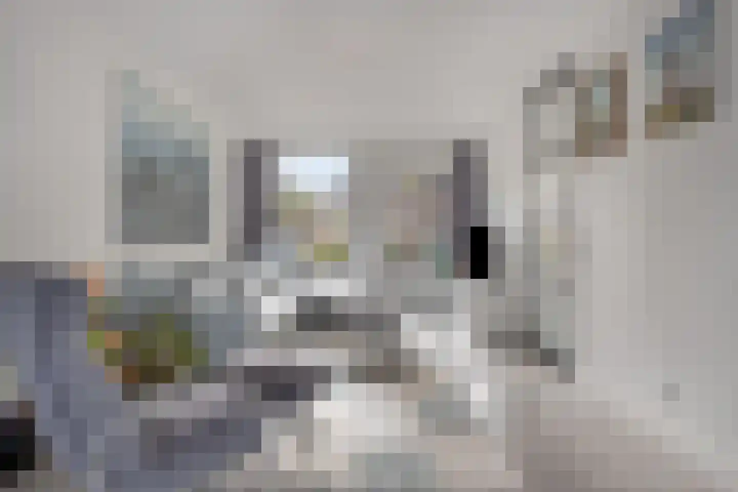 Christinastraat 6 Zoeterwoude thumbnail 10