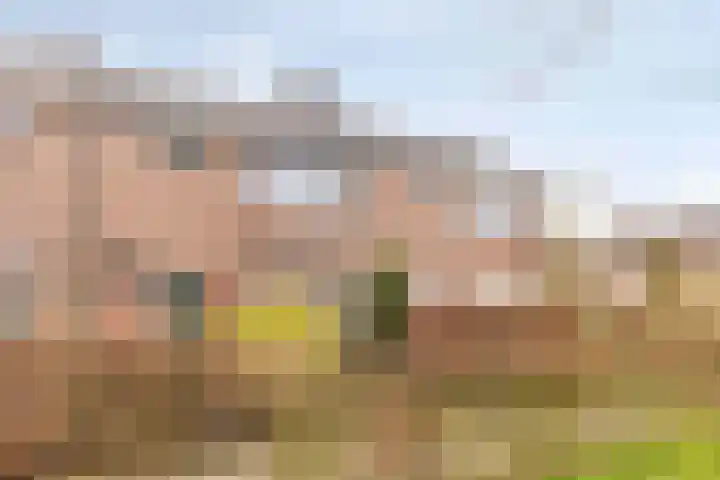 Christinastraat 7 Etten thumbnail 28
