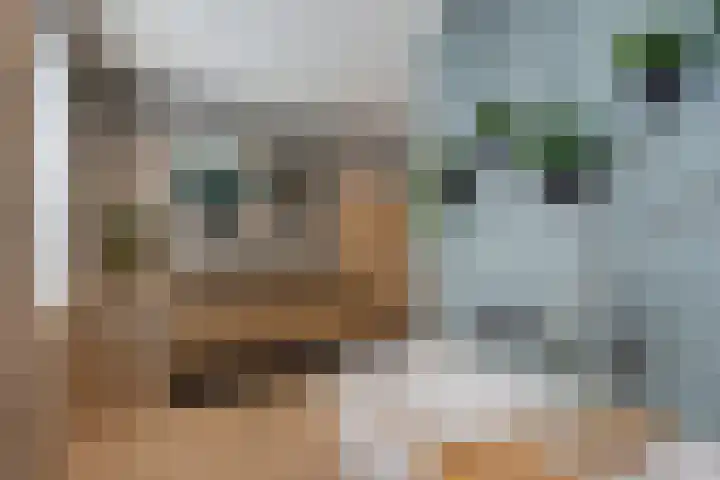 Christinastraat 8 Heesch thumbnail 22