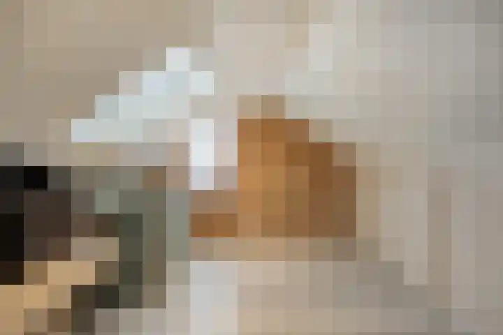 Christinastraat 8 Heesch thumbnail 26
